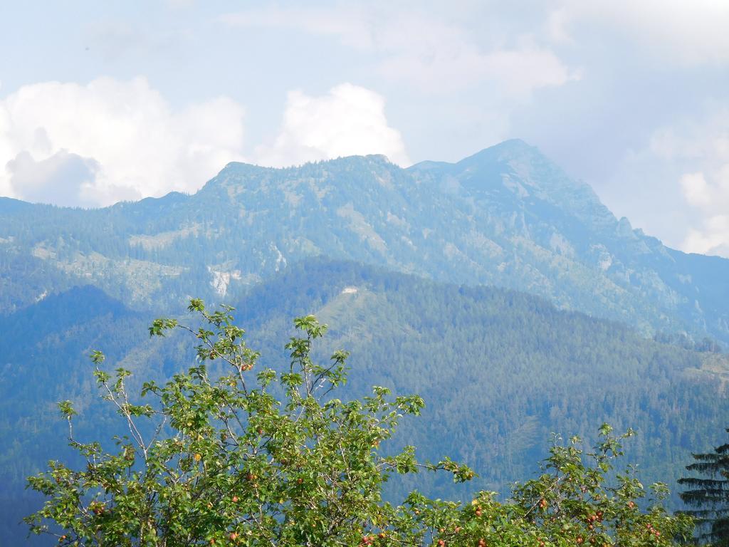 Bauernhof Urlaub Am Bauernhof Blamauer Köhr *