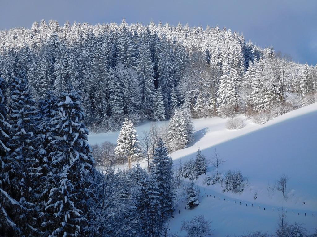 Urlaub Am Bauernhof Blamauer Köhr Bauernhof